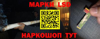 стаф Краснодар