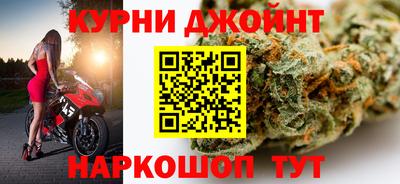 стаф Краснодар