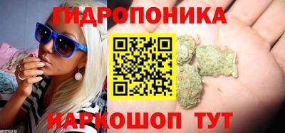 jwh Краснознаменск