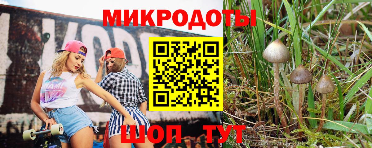 Псилоцибиновые грибы MAGIC MUSHROOMS Канаш